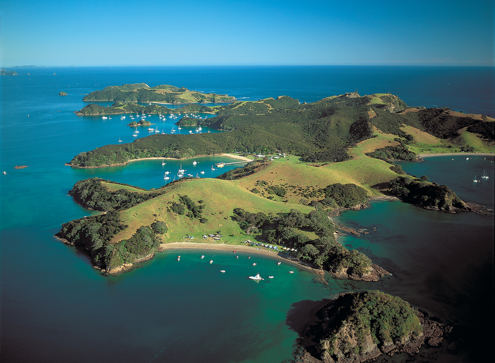 Gallery  Bay of Islands Travel Guide  New Zealand