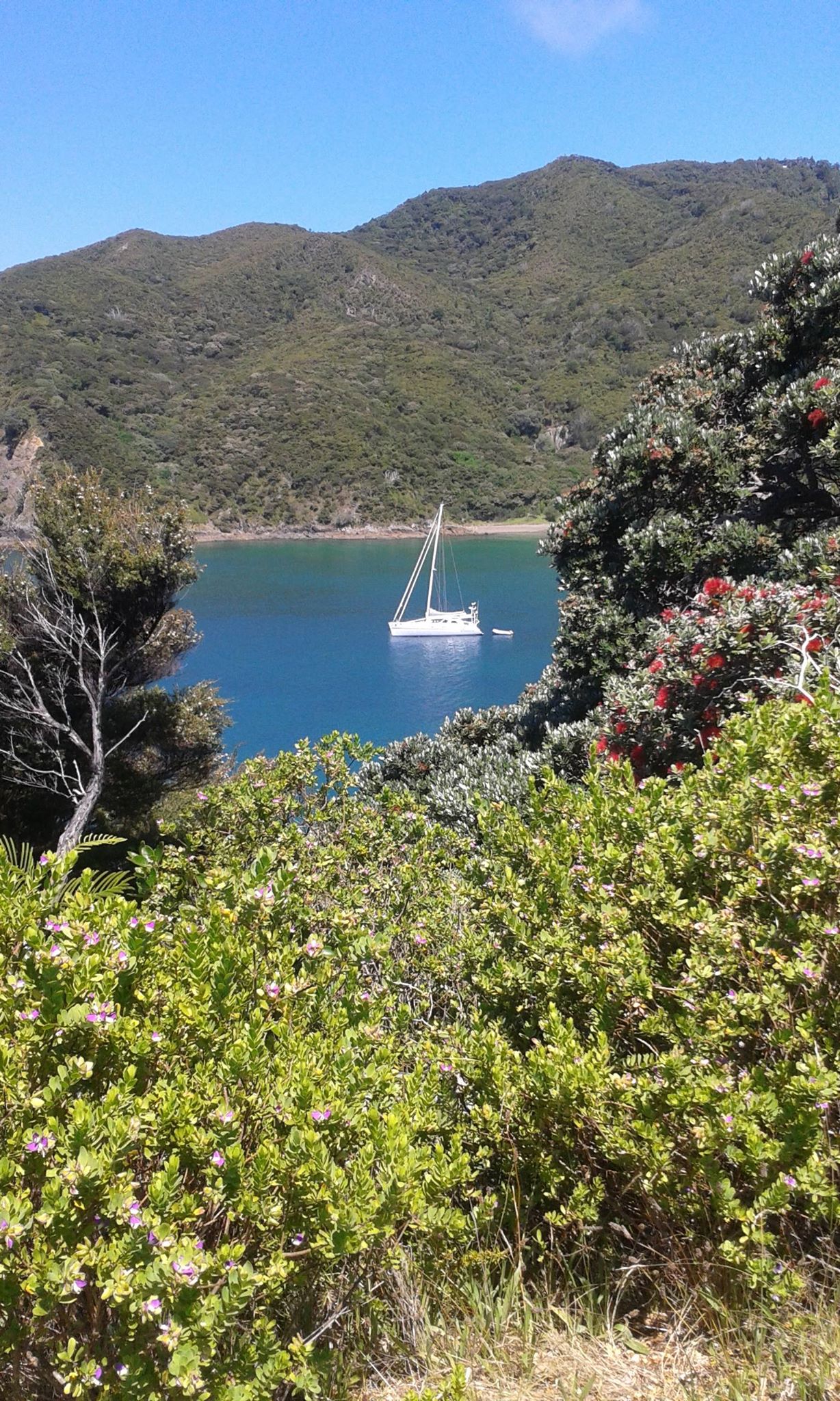 Oke Bay